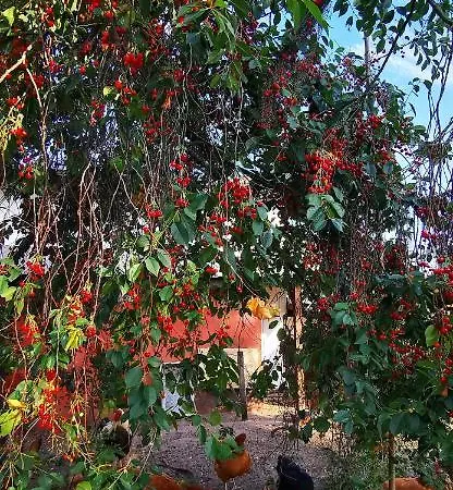 Wczasy Z Wedka Appartement Gardna Wielka