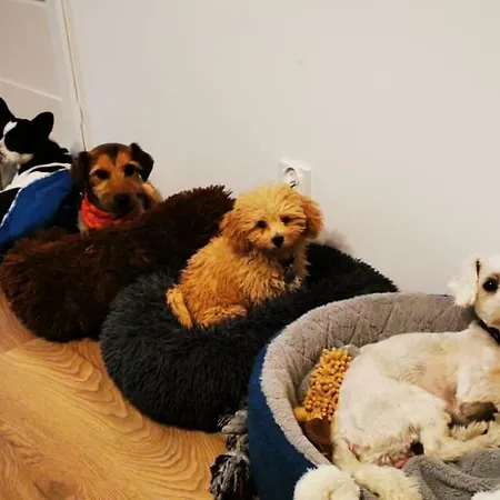 Wczasy Z Wedka * Gardna Wielka