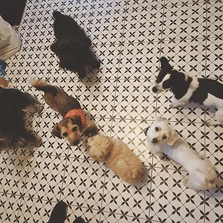 Wczasy Z Wedka Appartement