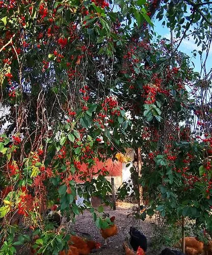 Wczasy Z Wedka Apartment Gardna Wielka