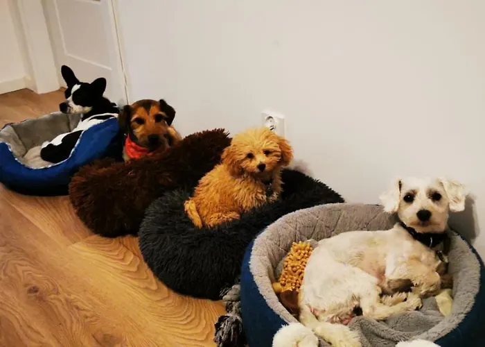 Wczasy Z Wedka * Gardna Wielka