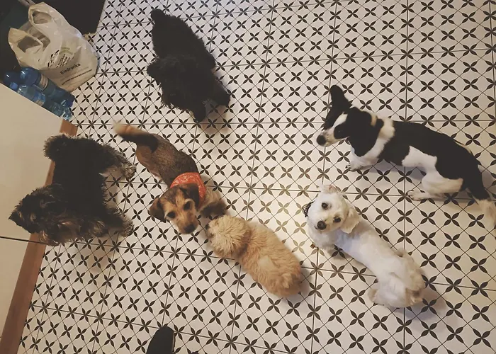 Wczasy Z Wedka Apartment